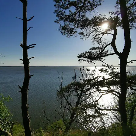 Waldblick Vom Naturhof Usedom