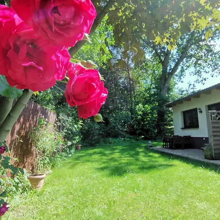Waldblick Vom Naturhof Usedom *