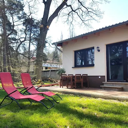 Waldblick Vom Naturhof Usedom